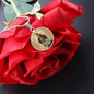 Catholic Saints Pendant - The Blessed Virgin Mary's Miraculous Medal (c)