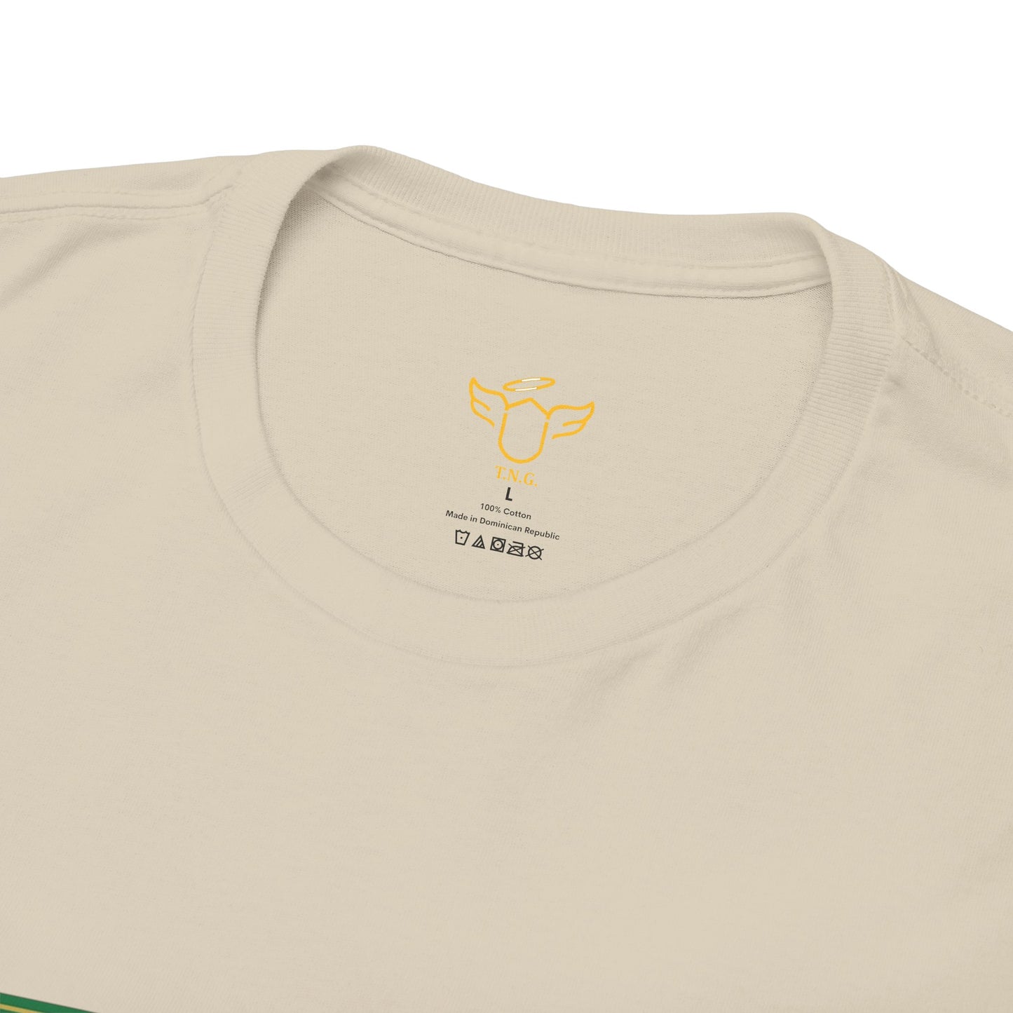 Viva México Soccer Tee — Patriotic Mexican Eagle Design (Hechos Para la Victoria)