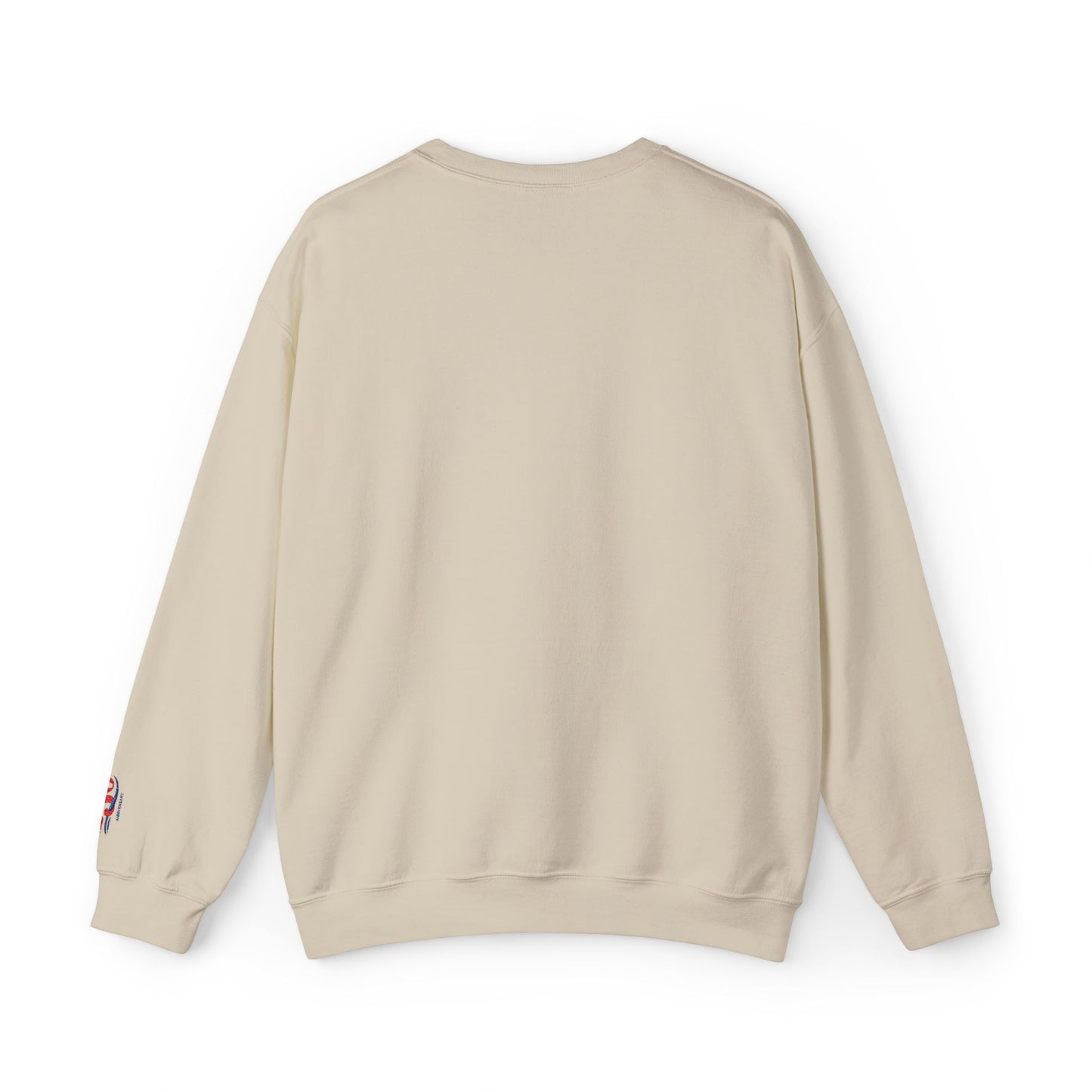 USA 250th American Eagle Crewneck Sweatshirt — USA 250th Vintage Patriotic Pullover - Trending Novelties & Gifts