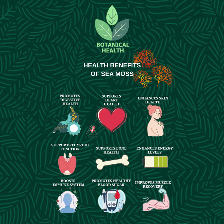 Illustration of health benefits of sea moss on a green patterned background. Sea Moss (Irish Moss) Supplement 